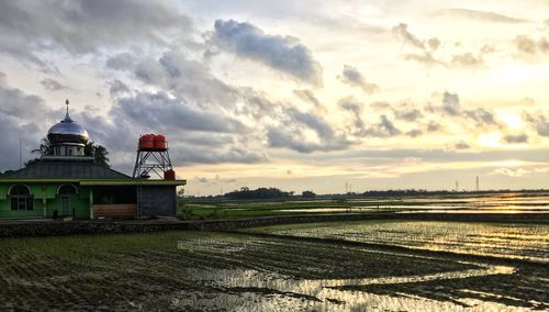 Scenic view of agricultural field against sky during sunset