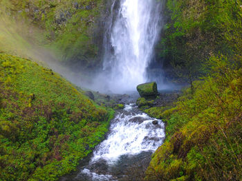 Scenic view of waterfall in forest