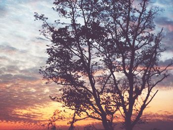 Silhouette tree against sky during sunset