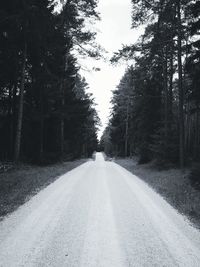 Empty road along trees