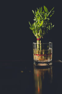 Close-up of water on table against black background