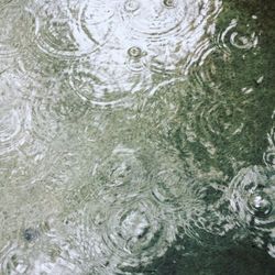 High angle view of raindrops on sea