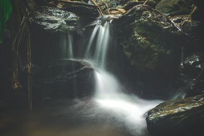 Scenic view of waterfall in forest