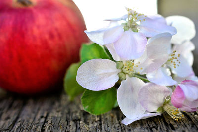 Close-up of flowering plant on table