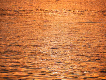 Full frame shot of wooden floor in sea