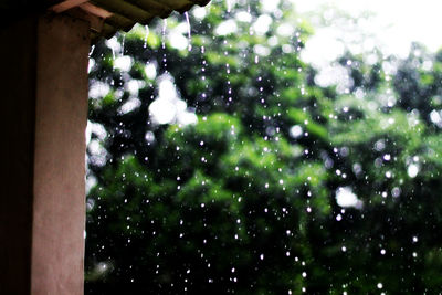 Close-up of water drops on glass