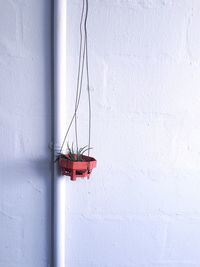 Red mounted on wall