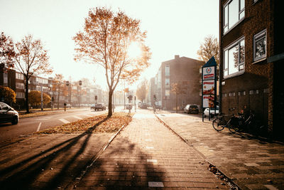 Road amidst trees in city against sky