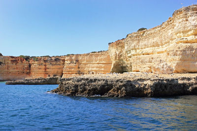 Bird colonies in praia do pontal bay, algarve coast