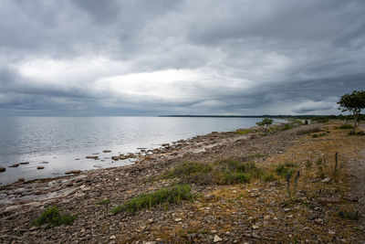 Scenic view of beach against sky