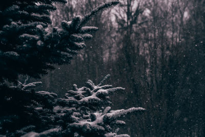 High angle view of snow covered field