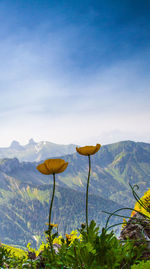 Scenic view of mountains against blue sky