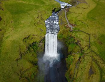 View of waterfall in forest