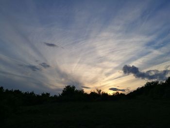 nature