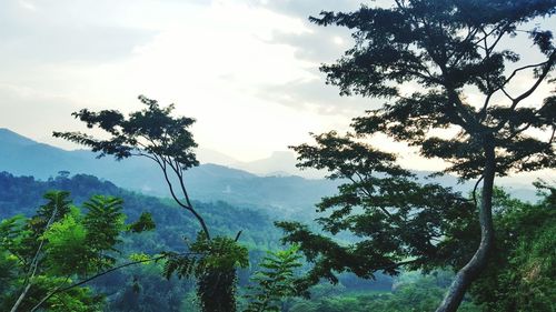 Scenic view of mountains against cloudy sky