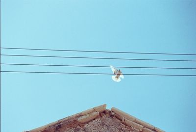 Low angle view of bird on cable against clear blue sky