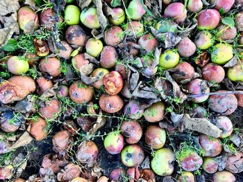 Full frame shot of fruit