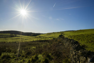 Scenic view of field against clear sky