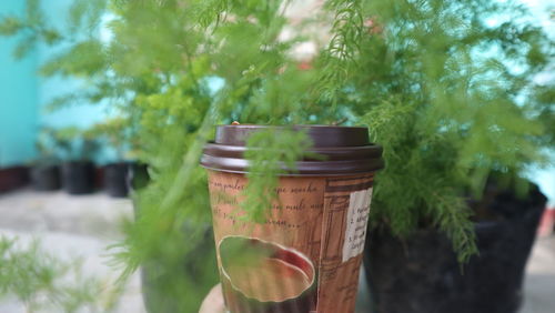 Close-up of hand holding drink against trees