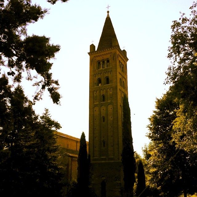 architecture, low angle view, building exterior, built structure, tree, religion, place of worship, clear sky, spirituality, church, tower, clock tower, history, tall - high, sky, branch, steeple, outdoors