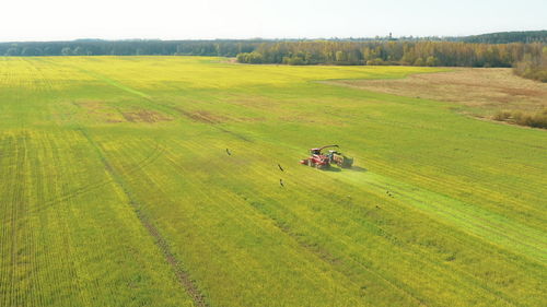 Scenic view of agricultural field