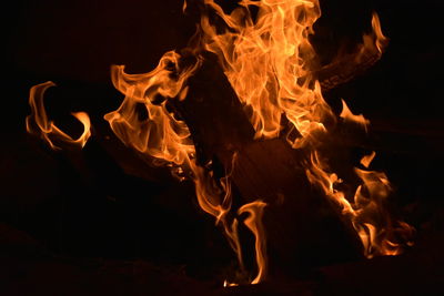 Close-up of fire in the dark