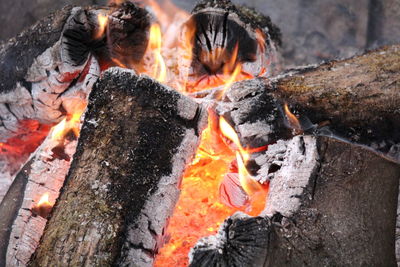 Close-up of bonfire in forest