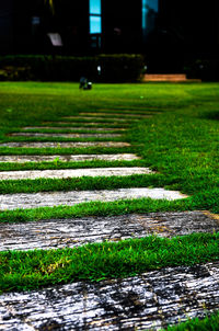 Close-up of green grass