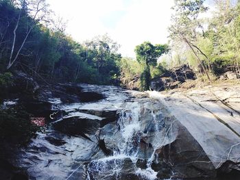 River flowing through rocks in forest