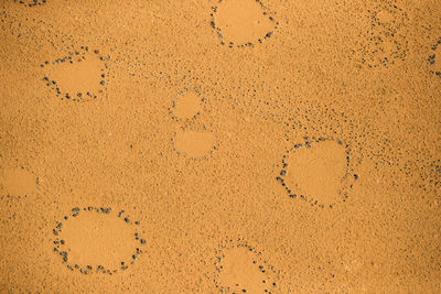 High angle view of footprints on sand