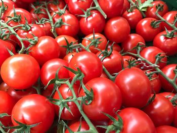 Full frame shot of tomatoes for sale