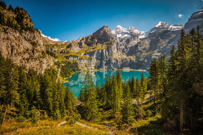 Scenic view of pine trees by lake against sky