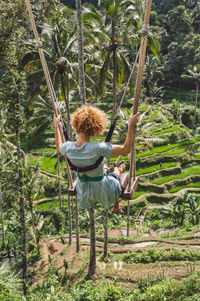 Rear view of woman on a swing in forest