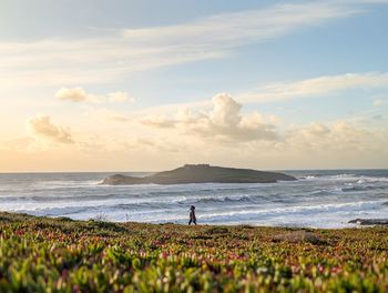 Scenic view of sea against sky during sunset