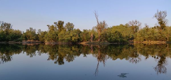 Reflection of trees in lake against sky