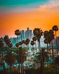 Palm trees and cityscape against sky during sunset