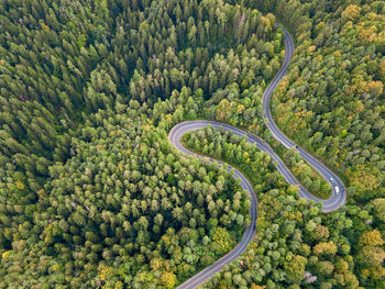 High angle view of road amidst trees in forest