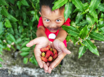 Portrait of boy holding berries