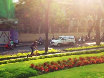 People in park