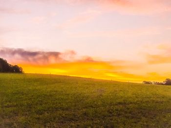 Scenic view of field against sky during sunset