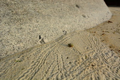 Sand dunes at beach