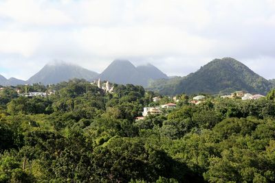 Scenic view of trees and mountains against sky