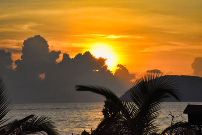 Silhouette palm tree by sea against sky during sunset