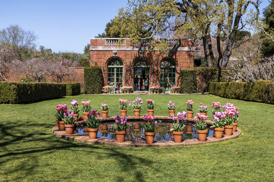 View of flowering plants in front of building