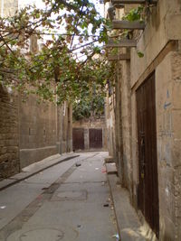 Empty alley amidst buildings in town