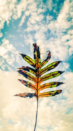 Low angle view of leaf against sky