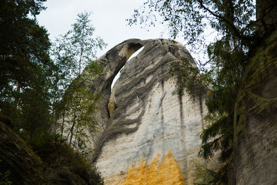 Low angle view of bird on cliff against sky