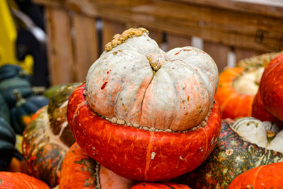 Close-up of pumpkins