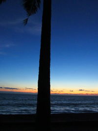 Silhouette palm trees on beach against sky during sunset