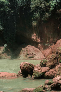 Rock formation in lake by trees in forest
